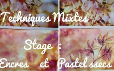 Stage une Technique Mixte : Encre & Pastels secs