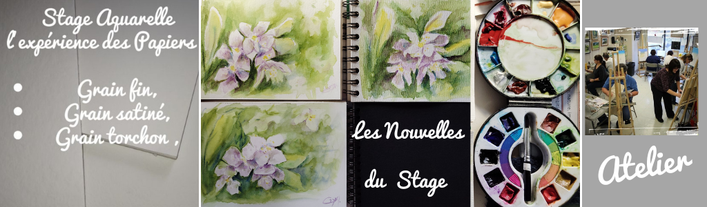 Papiers Aquarelle : les nouvelles du Stage.