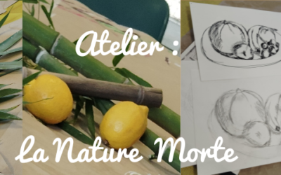 Atelier : dessiner la Nature Morte