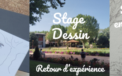 Retour d’expérience : Stage Dessin